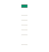selbstklebende Rückenschilder 120004201 weiß schmal/lang 39x285mm (BxH) 
