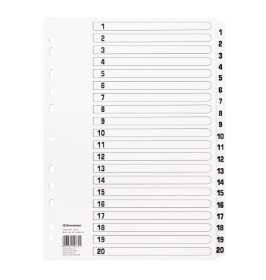 Kartonregister 1607, 1 bis 20, A4, 170 g/m&sup2;, wei&szlig;e Taben, 20-teilig