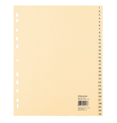 Kartonregister 1925, 1 bis 31, A4, 100 g/m², chamois Taben, 31-teilig