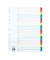Kartonregister 1587, A bis Z, A4, 170 g/m², farbige Taben, 20-teilig
