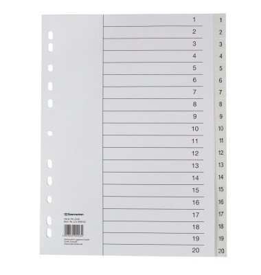 Kunststoffregister 2118, 1 bis 20, A4, 120&micro;m, wei&szlig;e Taben, 20-teilig