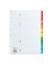Kartonregister 1578, 1 bis 5, A4, 170 g/m², farbige Taben, 15-teilig