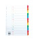 Kartonregister 1580, 1 bis 12, A4, 170 g/m², farbige Taben, 12-teilig