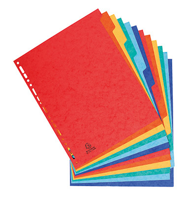 Kartonregister 2412E, 12-teilig blanko, A4+, 225 g/m&sup2;, farbige Taben, 12-teilig