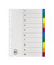 Kunststoffregister 1531, 10-teilig blanko, A4, 115&micro;m, farbige Taben, 10-teilig