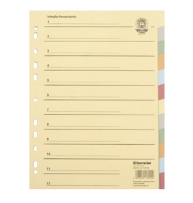 Kartonregister 1523, 12-teilig blanko, A4, 250 g/m², farbige Taben, 12-teilig