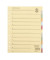 Kartonregister 1523, 12-teilig blanko, A4, 250 g/m², farbige Taben, 12-teilig