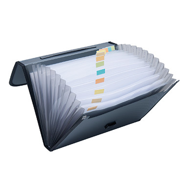 F&auml;chermappe Standard - Kunststoff - Serie 370003090, schwarz, A4, 12 F&auml;cher
