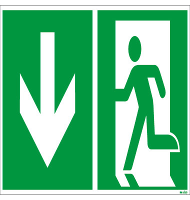 Piktogramm "Notausgang" E001 300x150mm nachleuchtend