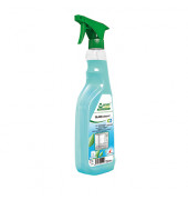 Glasreiniger 712494, 750ml, Spr&uuml;hflasche
