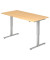 Sitz-Steh-Schreibtisch, elektrisch höhenverstellbar, 71-120cm (H), 160x80cm (BxT), rechteckig, ahorn / silber
