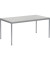 Konferenztisch Line 810004281, 72cm (H), 160x80cm (BxT), rechteckig, lichtgrau / silber