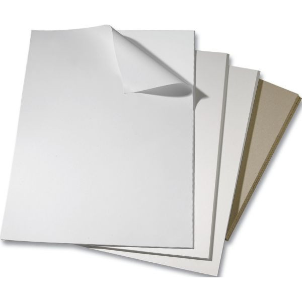 10 Stück Folia Bristolkarton 50x70cm 308g weiß 8900 4001868089004 Folia
