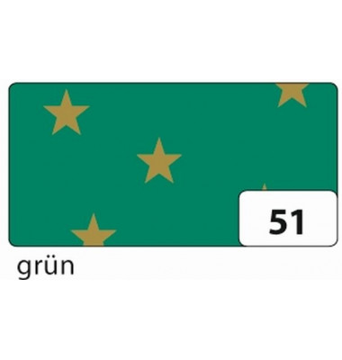 5851 300g Fotokarton 50x70cm Sterne grün