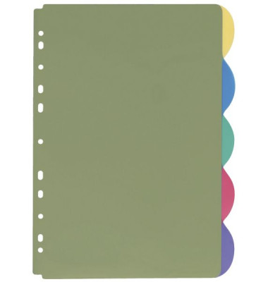 Kunststoffregister 4245 800, 5-teilig blanko, A4, farbige Taben, 5-teilig