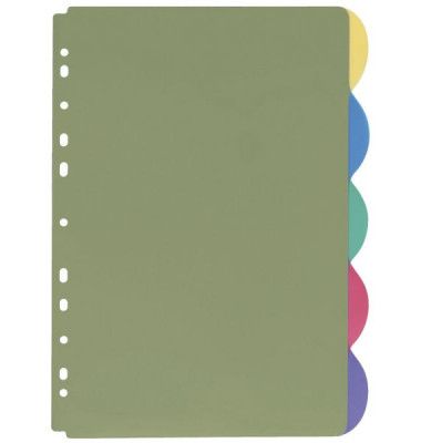 Kunststoffregister 4245 800 blanko A4 transparent farbige Taben 5-teilig