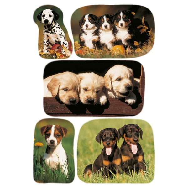 10 Stück Herma 3528 Schmucketikett Hundewelpen 4008705035286 Herma 15 Stück