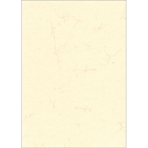 100 Stück RNK Briefpapier 2863, chamois, Elefantenhaut, A4, 110g 4013629200016 RNK