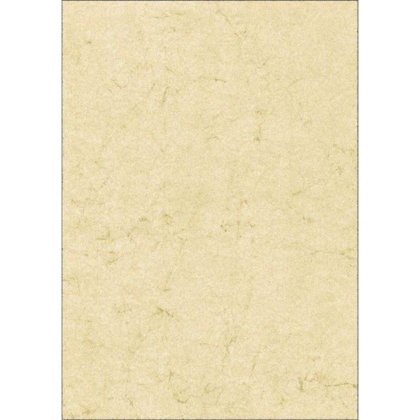 100 Stück RNK Briefpapier 2864, chamois, Elefantenhaut, A4, 110g 4013629200030 RNK