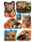 3527 Schmucketikett Katzen