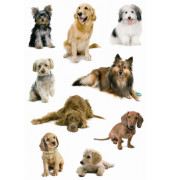 3432 Schmucketikette Hunde Tiere
