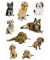 3432 Schmucketikette Hunde Tiere