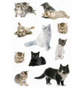 3433 Schmucketiketten Katzen Tiere