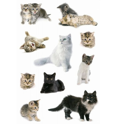 3433 Schmucketiketten Katzen Tiere