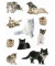 3433 Schmucketiketten Katzen Tiere