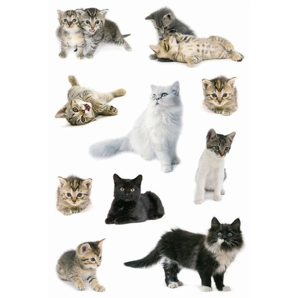 10 Stück Herma 3433 Schmucketiketten Katzen Tiere 4008705034333 Herma 20 Stück