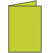 Blanko-Grußkarten 220719522 DIN B6  Hoch doppelt 240mm x 169mm (BxH) 220g hellgrün
