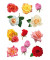 3308 Schmucketikett Rosenblüten