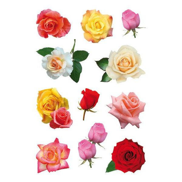 10 Stück Herma 3308 Schmucketikett Rosenblüten 4008705033084 Herma 33 Stück