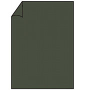 220701571 Briefbogen A4 80g forest
