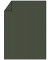220701571 Briefbogen A4 80g forest