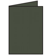 Blanko-Grußkarten 220719571 DIN B6  Hoch doppelt 220g forest