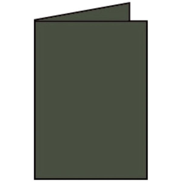 4014969571736 - Briefkarte 220719571 DIN B6 Hoch doppelt 220g forest 4014969571736 5 Stück 4014969571736 - Briefkarte 220719571 DIN B6 Hoch doppelt 220g forest 4014969571736 5 Stück