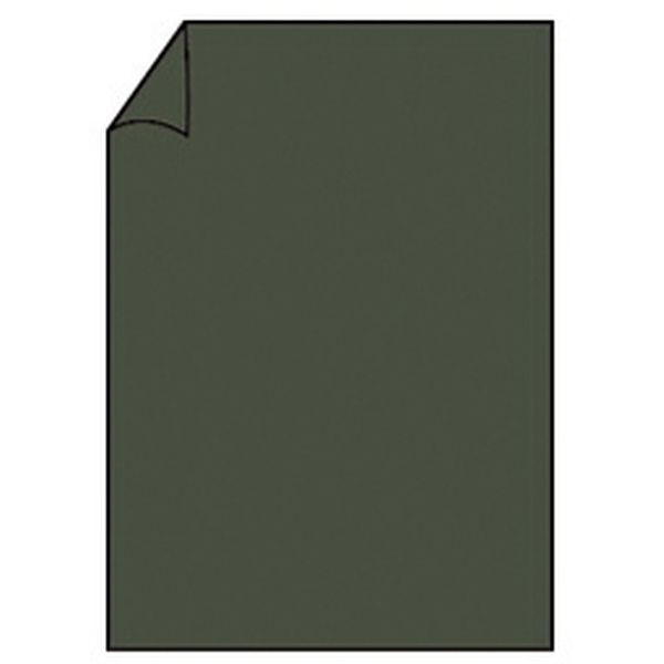 4014969571842 - Briefpapier Coloretti 220726571 forest A4 165g 4014969571842 10 Stück