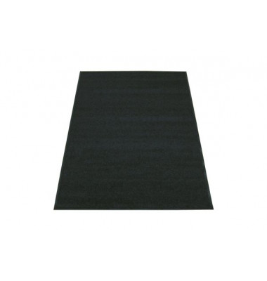 Fußmattenläufer 22040-1 Eazycare Color, 120x180cm, rechteckig, für Innenbereich