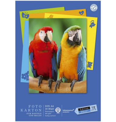 Fotokarton 053636000 Edition D&uuml;rer, farbig sortiert, A4, 300g