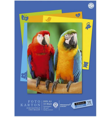 Fotokarton 053635000 Edition Dürer, farbig sortiert, A3, 300g