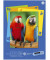 Fotokarton 053635000 Edition Dürer, farbig sortiert, A3, 300g