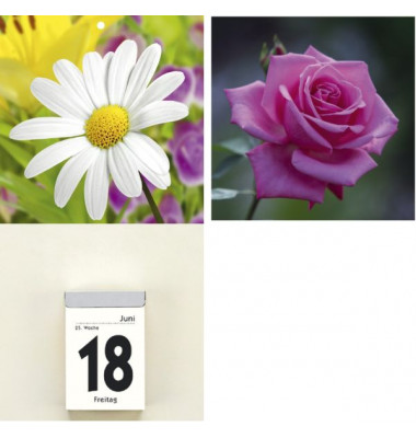342-0001 14,5x29,5cm Kalenderrückwand Blumen