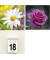 342-0001 14,5x29,5cm Kalenderrückwand Blumen