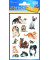 53574 Schmucketikett Katzenbabys