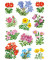 3582 Schmucketikett Blumen