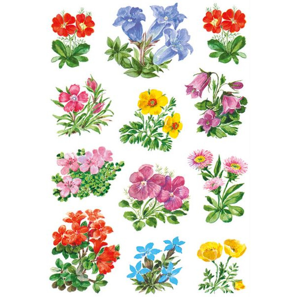 10 Stück Herma 3582 Schmucketikett Blumen 4008705035828 Herma 36 Stück
