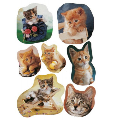 5747 Decor Schmucketikett Katzen
