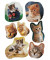 5747 Decor Schmucketikett Katzen