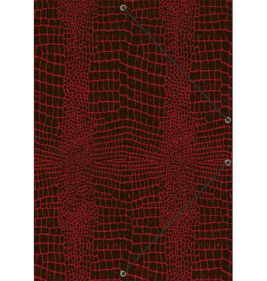 Eckspannmappe Grace Sunrise Red, bis DIN A4 46208, A4 grace Sunrise rot Karton 350g, mit 3 Einschlagklappen